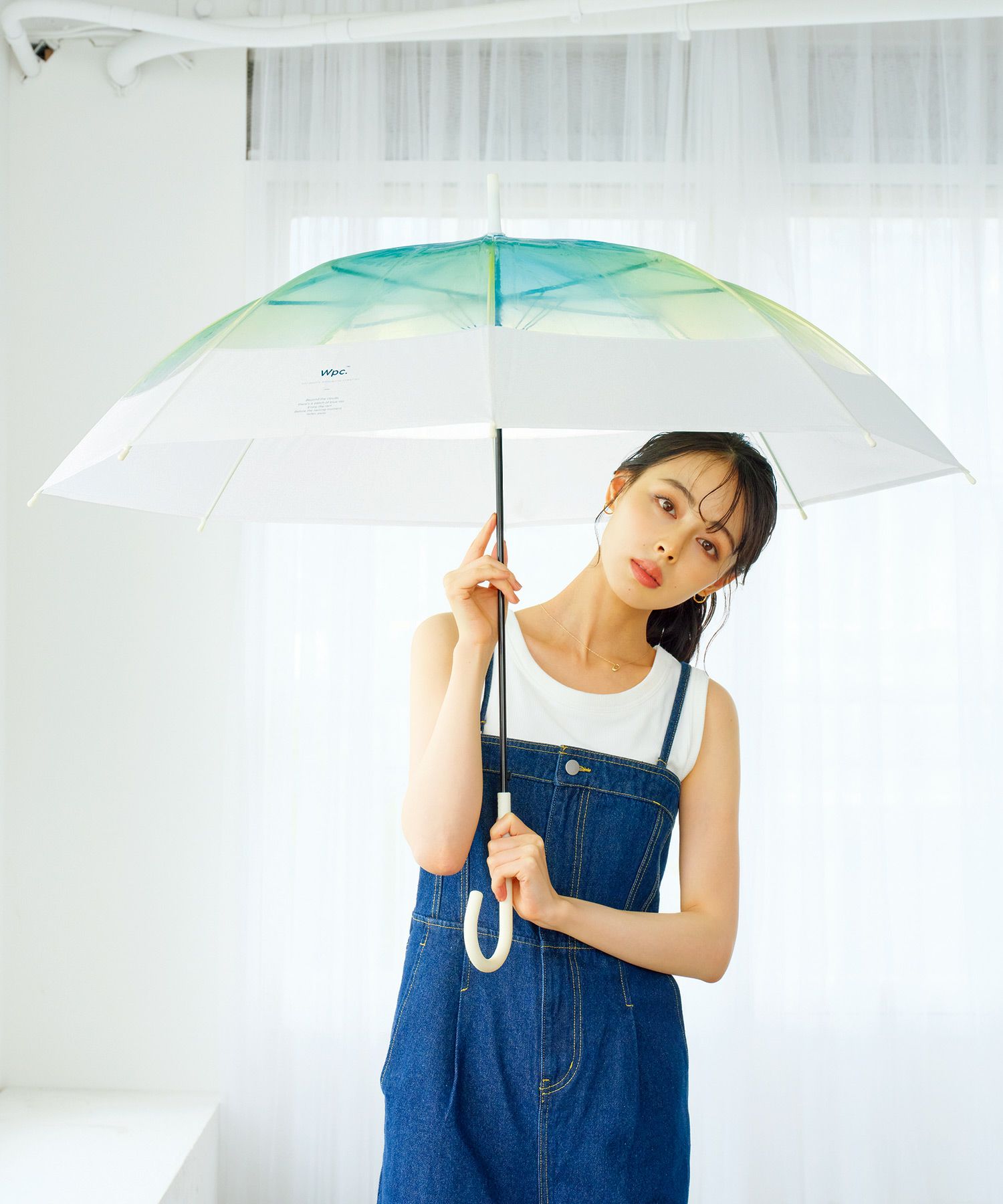 切り継ぎグラデーション 長傘 雨傘 ビニール傘 | 【公式】Wpc. ONLINE 