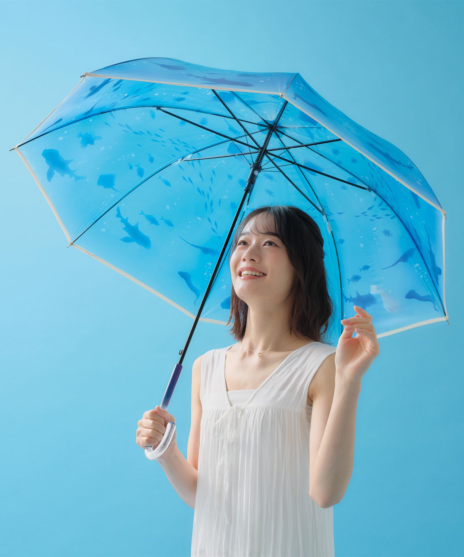 おはよう大水槽（長傘）